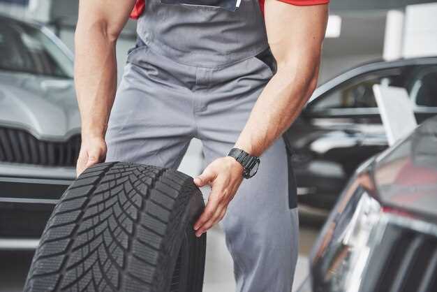 Обзор критериев выбора летних шин 185/65 R15
